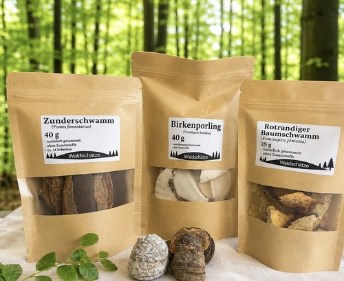 Zunderschwamm birkenporling - zunderschwamm,