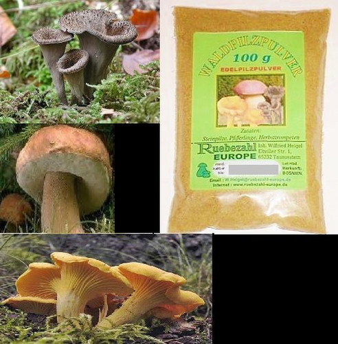 Steinpilze pfifferlinge - steinpilze,
