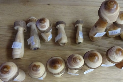Pilz aus holz mittelgroß - pilz,