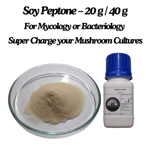 Pepton pilzzucht mushroom - pepton,