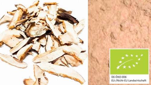 Bio pilze shiitake pilz pulver - pilze,