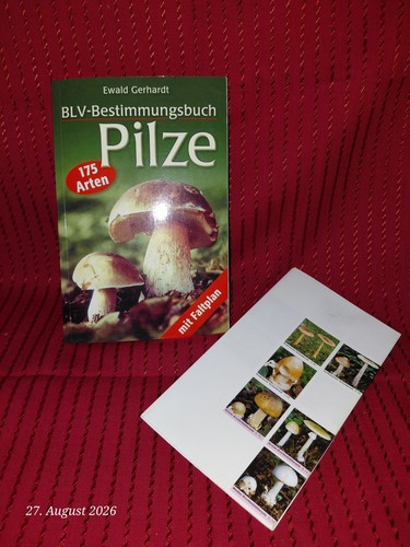 Pilzbuch blv bestimmungsbuch - pilzbuch,