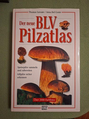 Der neue blv - der,