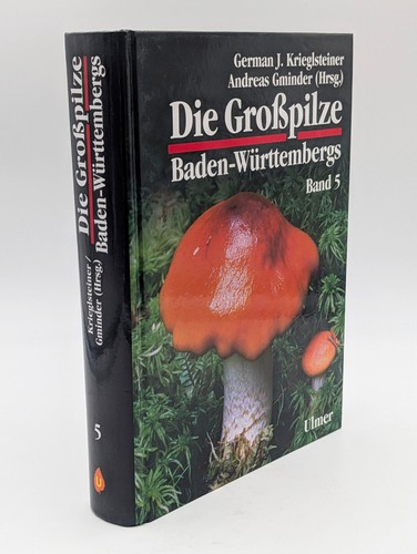 Die großpilze - die,