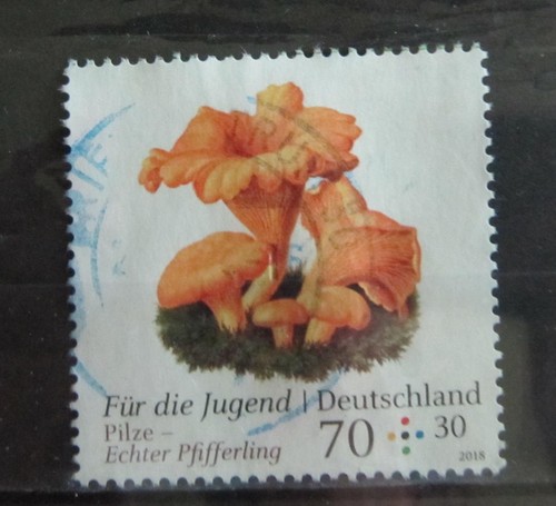 Jugend pilze deutschland 2018 - jugend,