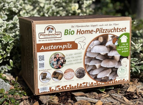 Austernpilz pilzzucht bio - pilzzucht,