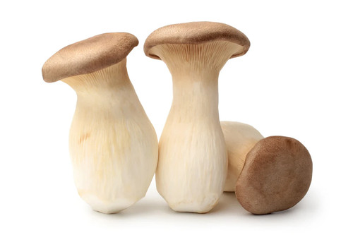Frische kräuterseitlinge bio - frische,
