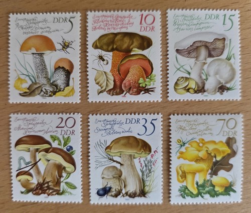Ddr europäische speisepilze - ddr,