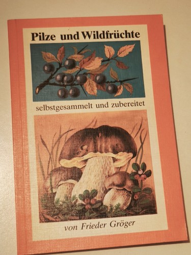Pilze und wildfrüchte - pilze,