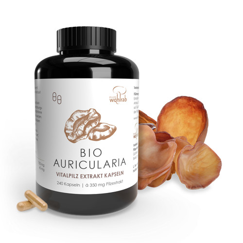 Pilze wohlrab auricularia - wohlrab,,