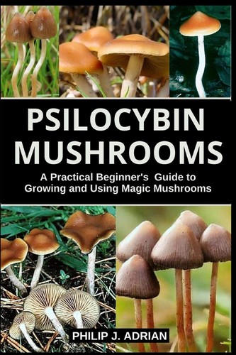 Psilocybin pilze - psilocybin,