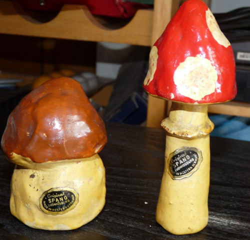 Spang pilzset 1 steinpilz - pilzset, (2)