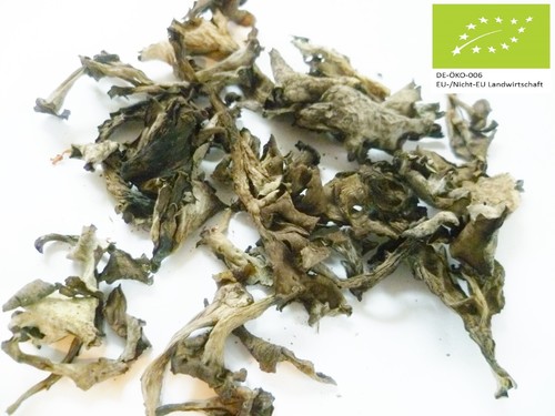 Pilze herbsttrompeten - pilze,