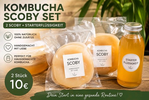 Kombucha scoby mit - kombucha,
