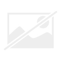 Pilze des waldes - des, (