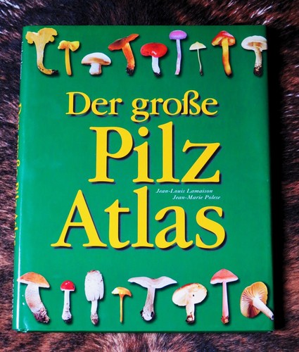 Der große
