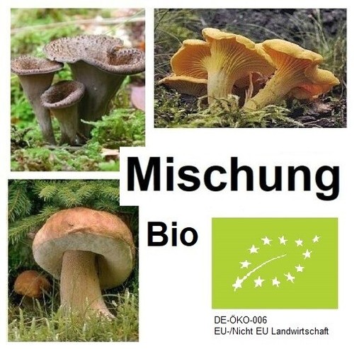 Pilze mischung 100g bio - mischung,