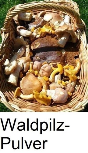 Pilz gewürz waldpilze 100g - gewürz,
