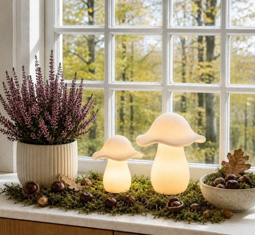 Led porzellan pilz - pilz, herbst