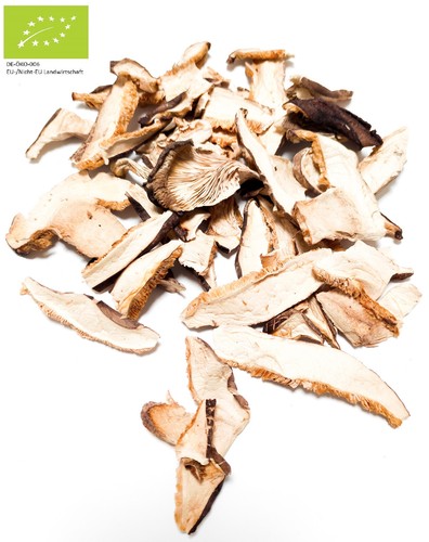 Bio pilze shiitake vitalpilz - pilze,