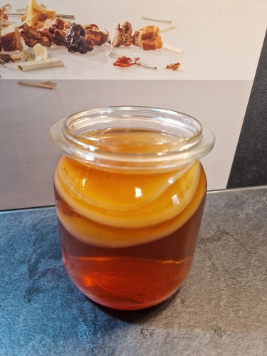 Kombucha pilz scoby teepilz - -, pilz,