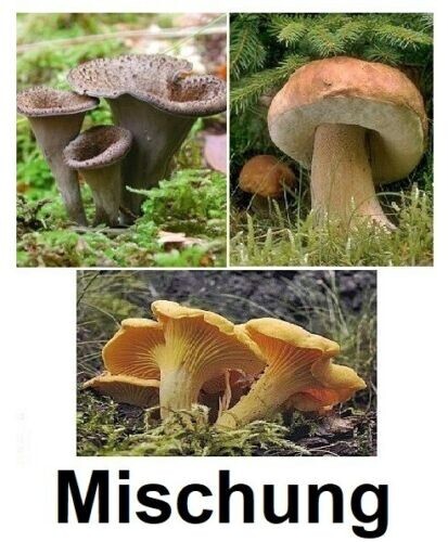 Pilz mix 250g - mix,