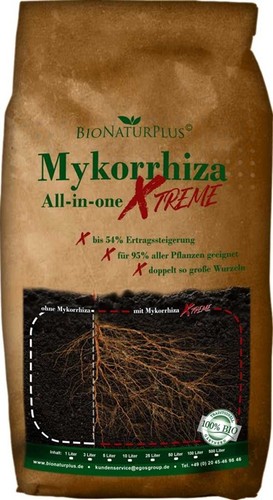 Mykorrhiza pilze granulat - mykorrhiza,